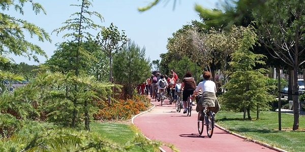 Carril bici (Av. Sanchis Guarner)