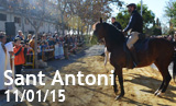 Festa de Sant Antoni