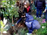 Plantació realitzada per l'alumnat del CP Ausiàs March