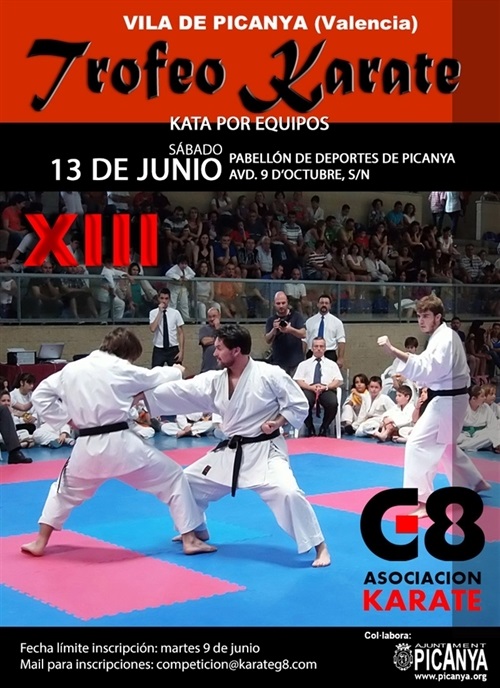 CARTEL_karate_juny_2015