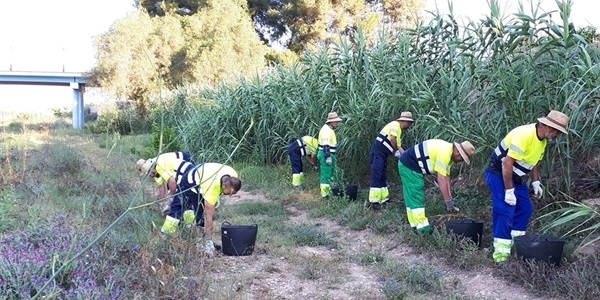 Contractació de persones aturades del sector agrícola per a la neteja del barranc