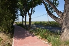 Carril bici al camí de la Pedrera