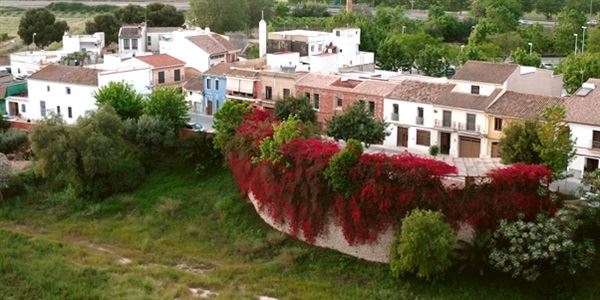 A la llum del Mediterrani. La Picanya que tornarà.