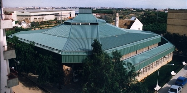 Construcció del Mercat Municipal